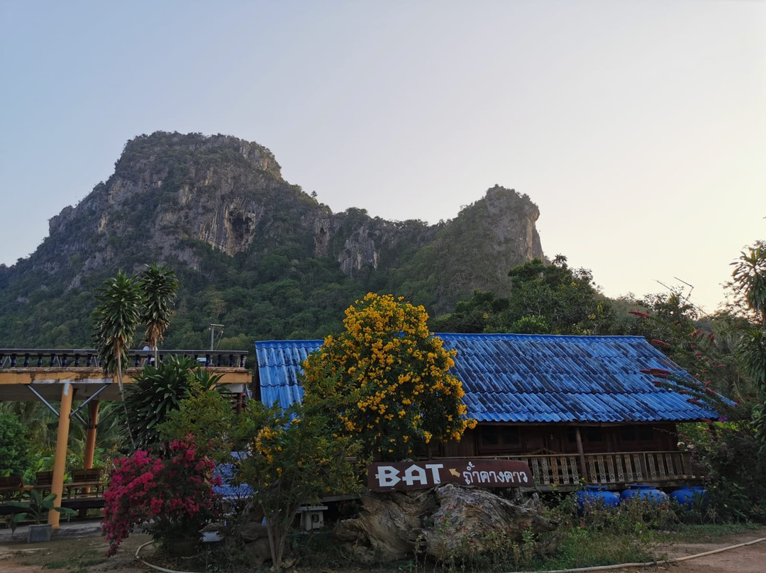 Nayang Bat Cave景点图片