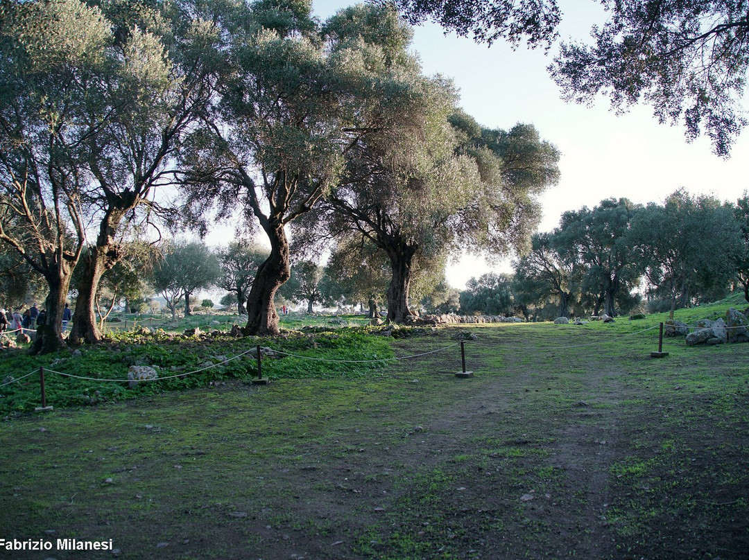 L'insediamento di Pani Loriga-Santadi必去景点