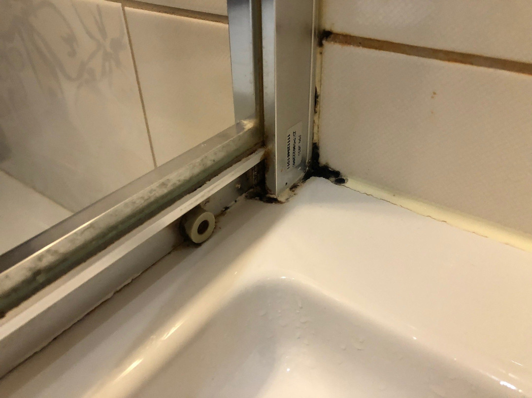 Hotel Trzebnica主图