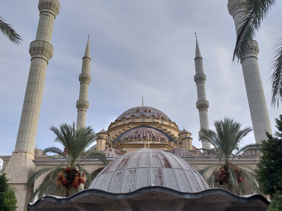 Manavgat Mosque景点图片