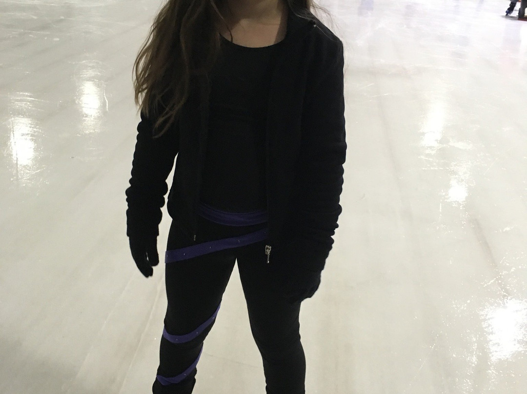 Xtreme Ice Arena景点图片