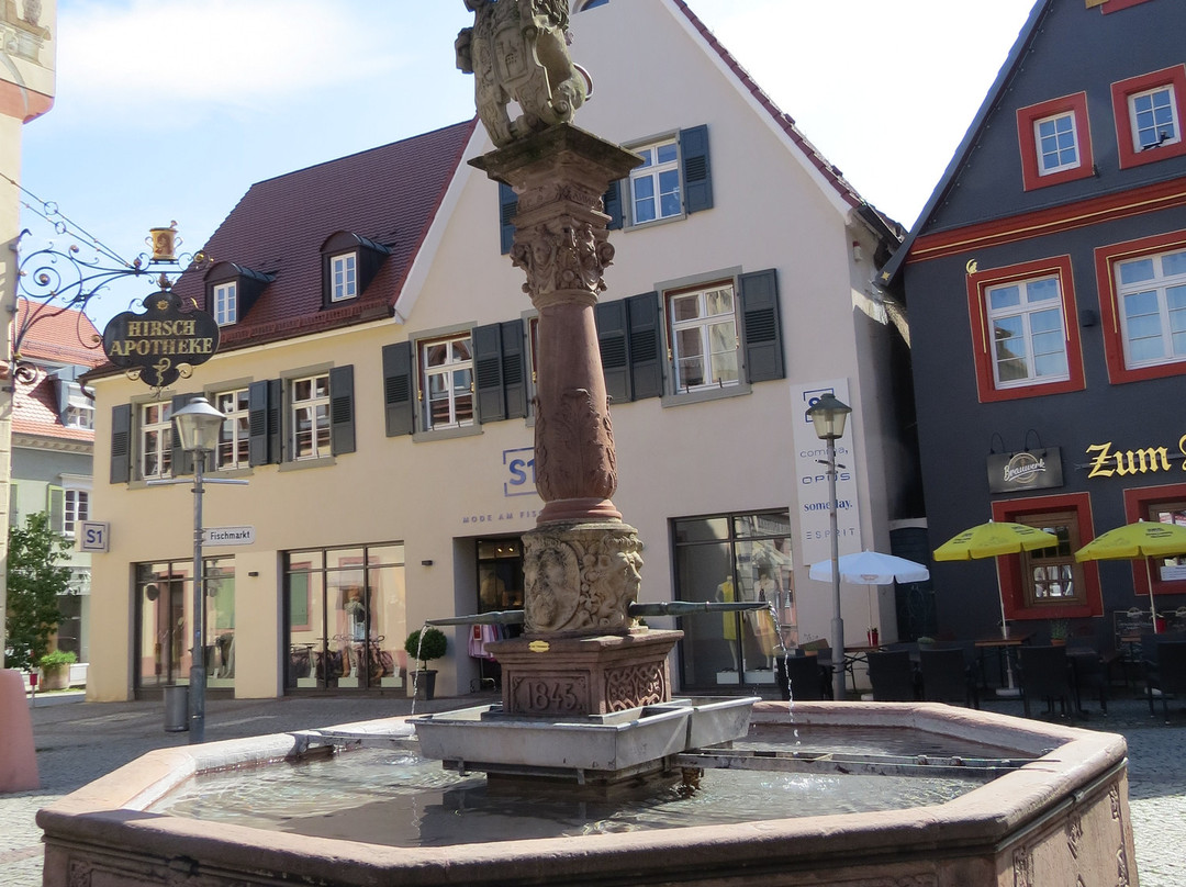 Lowenbrunnen Offenburg