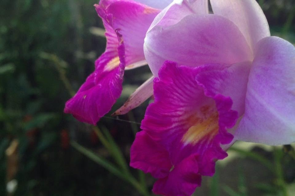 Massage and Yoga, Equilibrio da Vida-明德卢必去景点