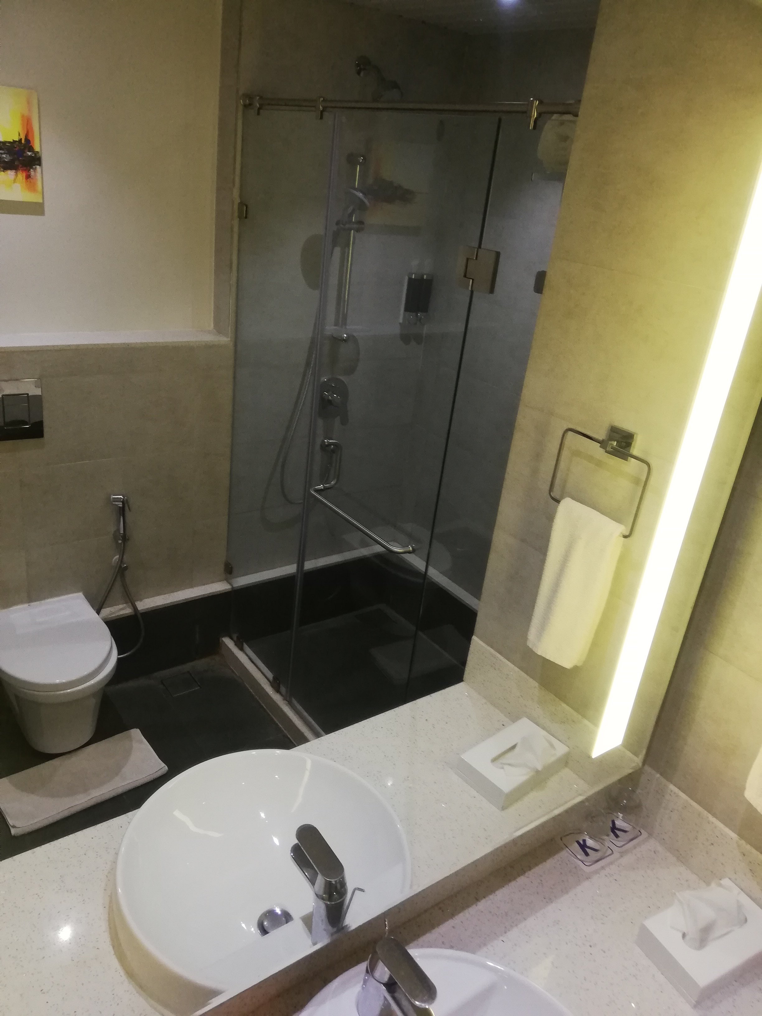 Lemon Tree Hotel, Hubli-浴室