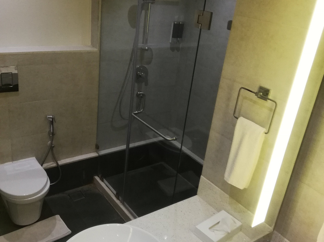 Lemon Tree Hotel, Hubli主图