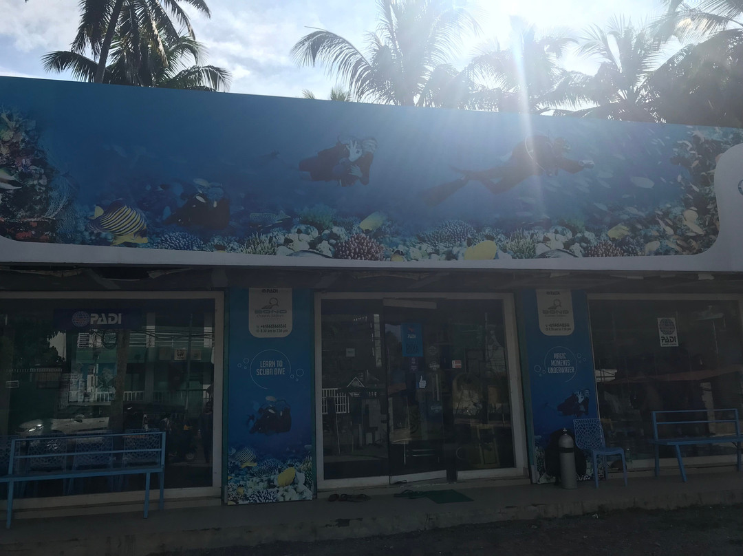 Bond Safari Scuba Diving景点图片