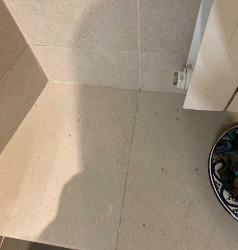 Villa Abbamer - Country House主图