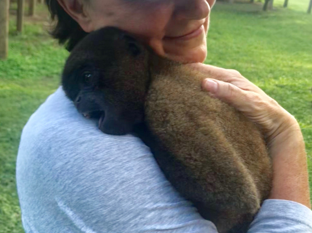 Amazon Tahuari Tours-伊基托斯必去景点