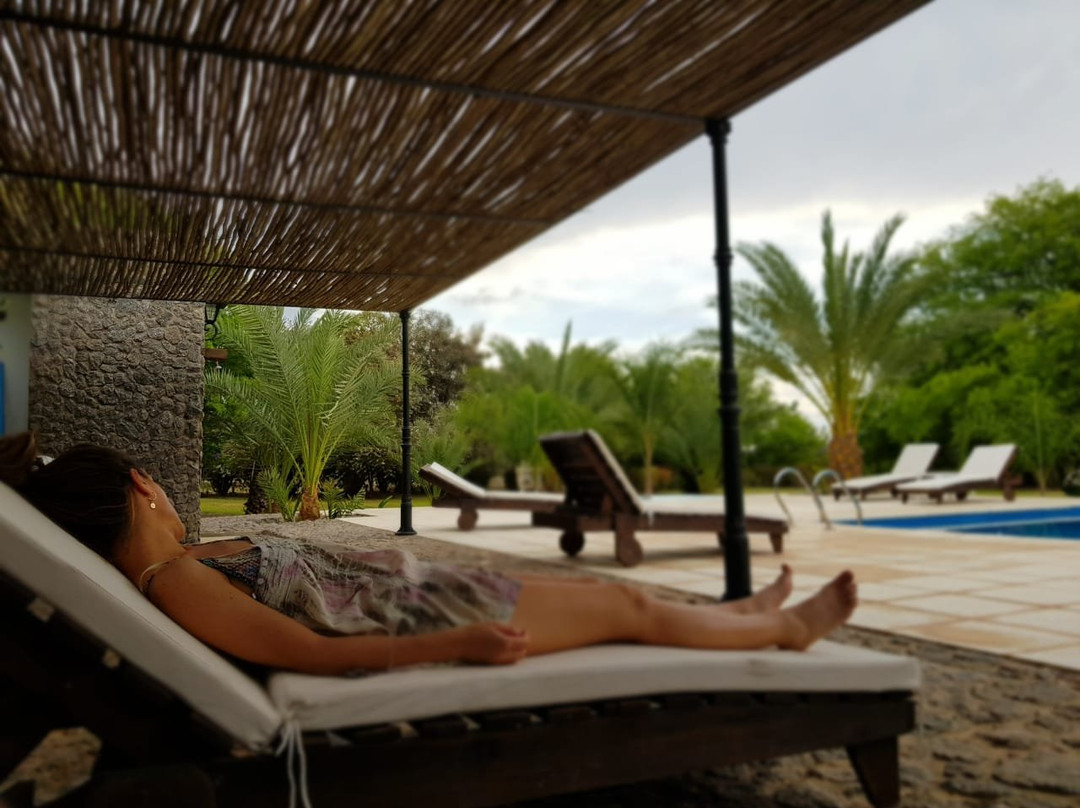 Posada del Olivo主图