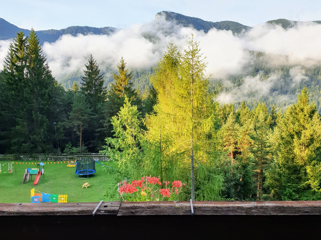 Mercure Dolomiti Hotel Boite主图