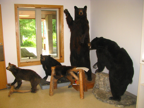 Mosquito Hill Nature Center-New London必去景点