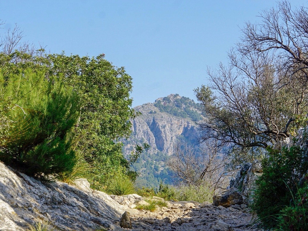 Camino de Mallorca GR221景点图片