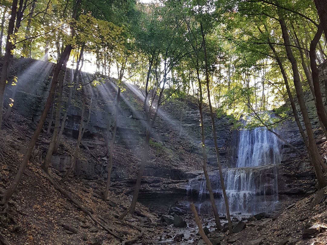 Sherman Falls-汉密尔顿必去景点