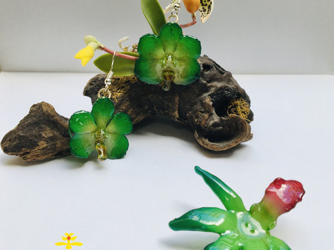 Orchid Gifts of Madeira-沙尔必去景点