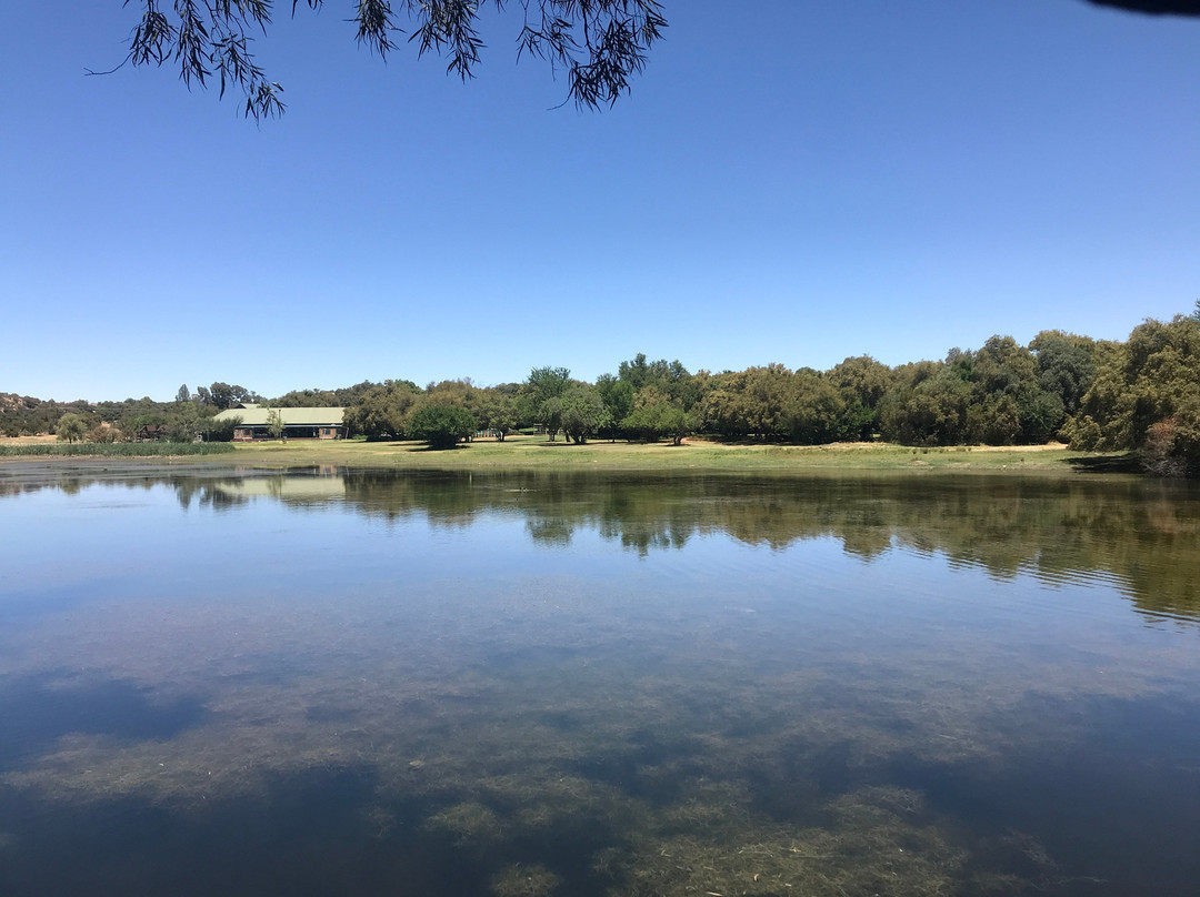 Free State National Botanical Garden-布隆方丹必去景点