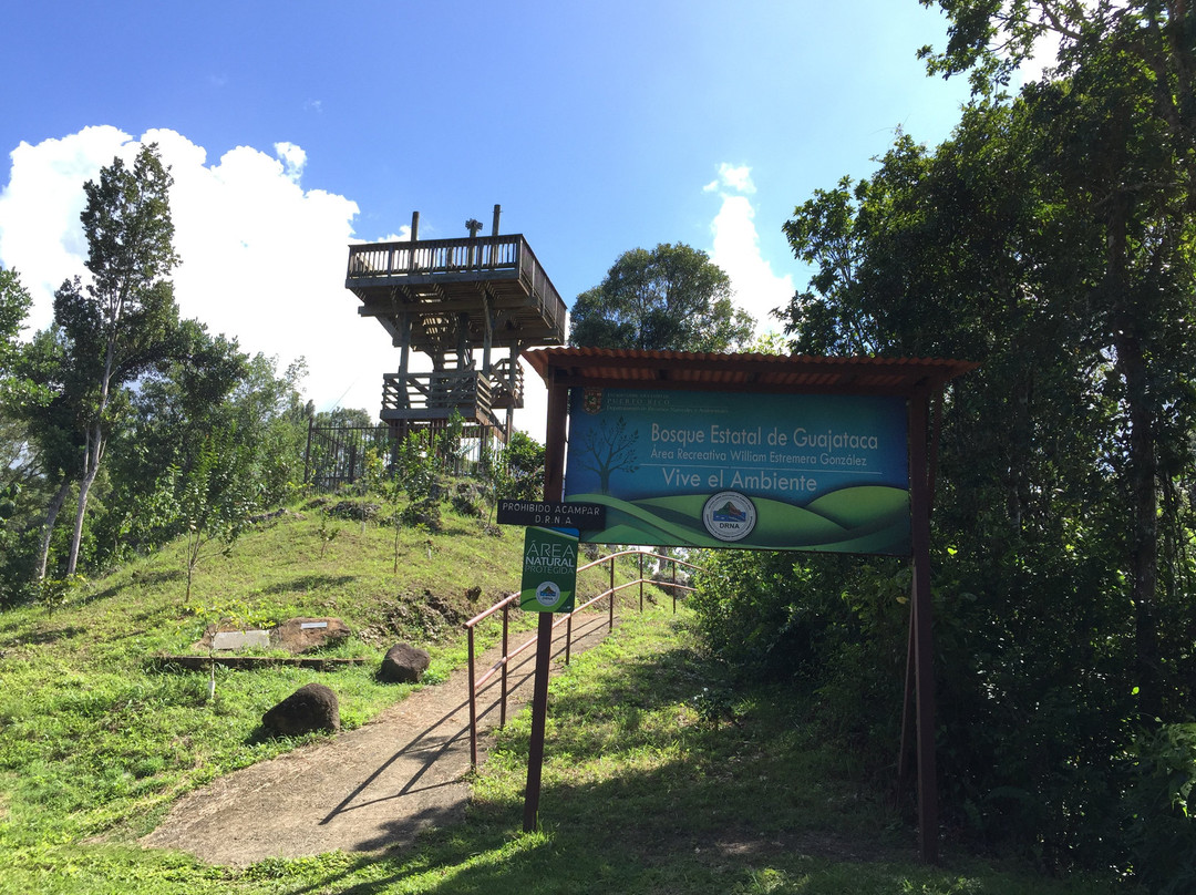 Guajataca Forest Reserve-Isabela必去景点