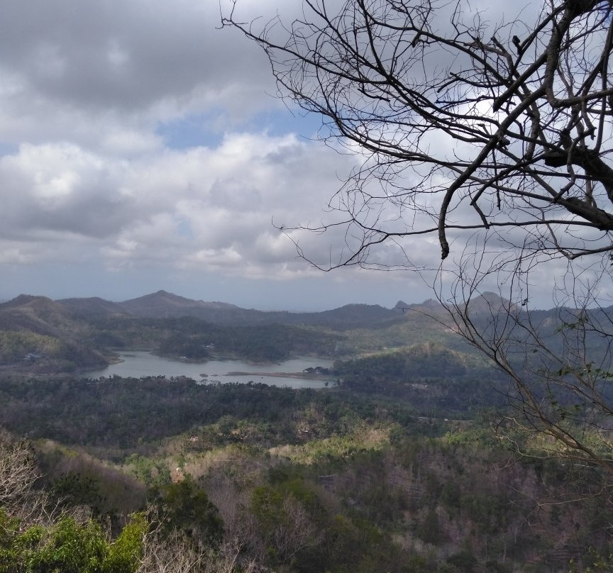 Wisata Kalibiru景点图片