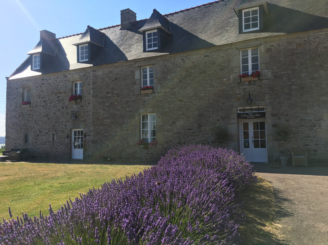 Hotel Le Manoir Saint Michel***主图