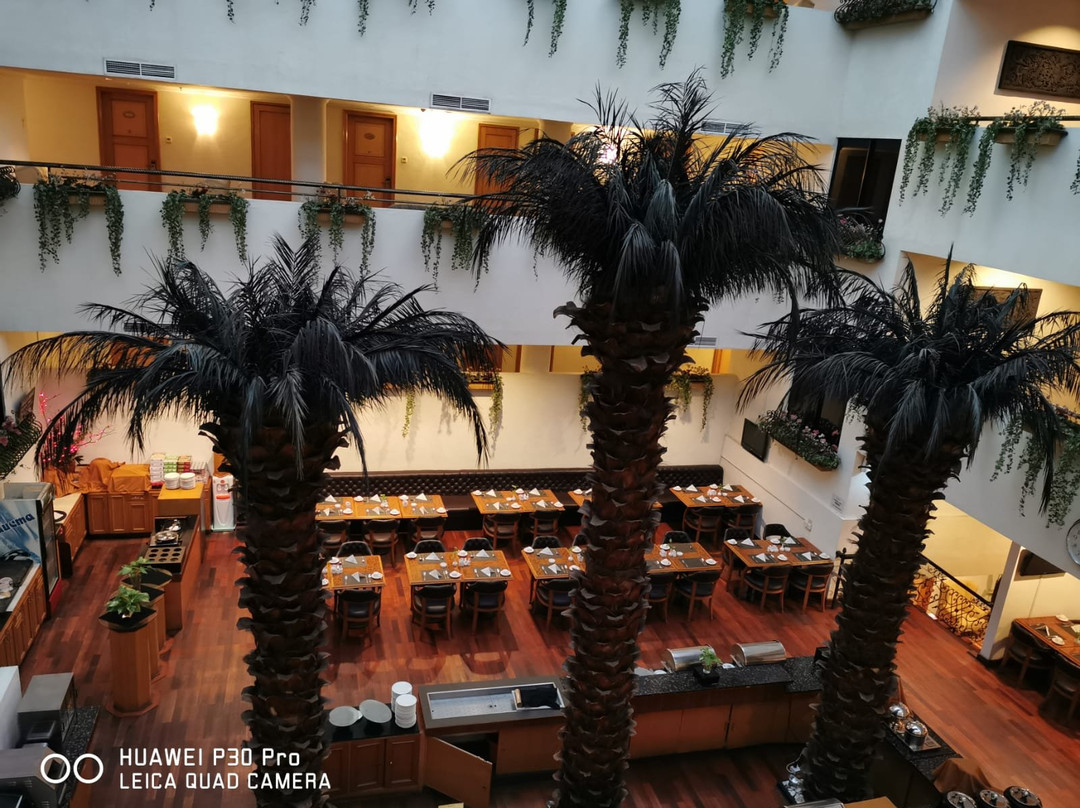 巴淡岛和谐酒店主图