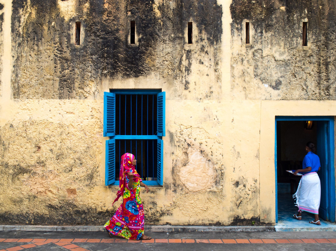 Tanzania Serengeti Safaris-桑给巴尔岛必去景点