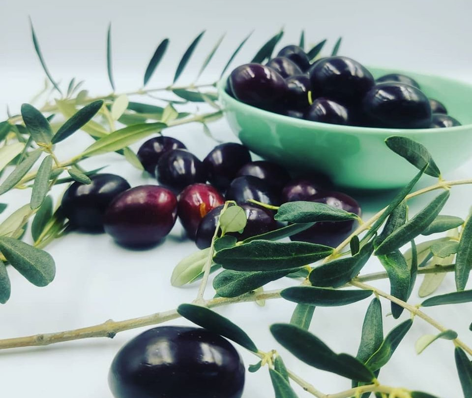 Virginia Olive Oil & Olives-Vatopedi必去景点