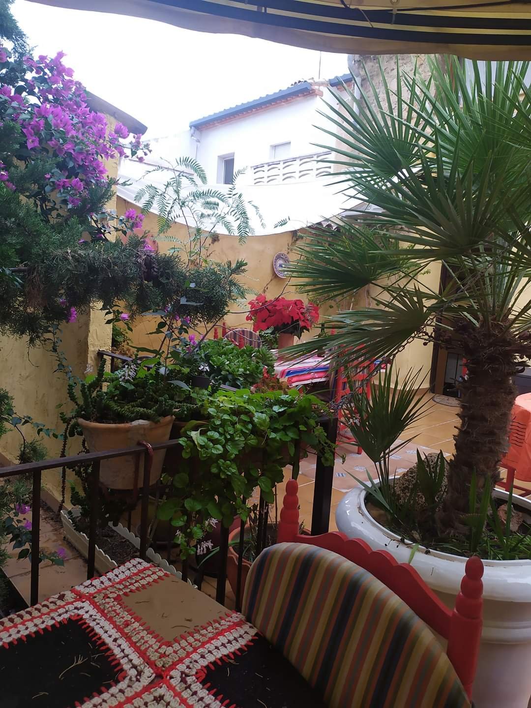 La Casona Albaida-官方