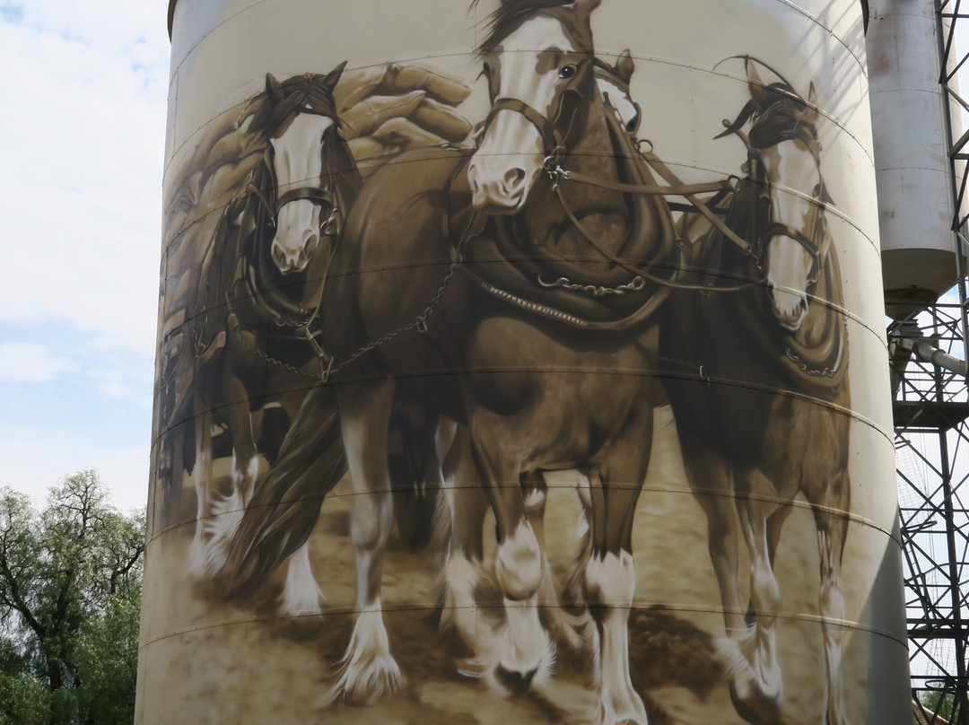 Devenish Silo Art景点图片