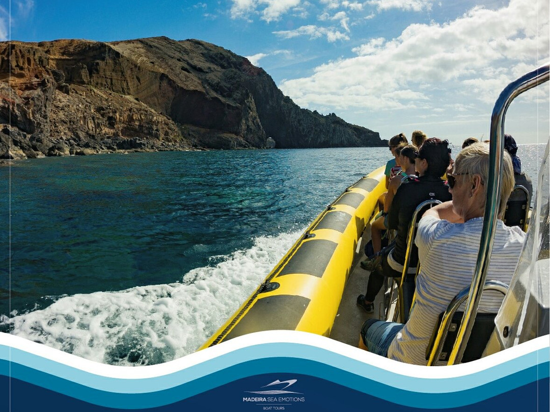 Madeira Sea Emotions Boat Tours景点图片