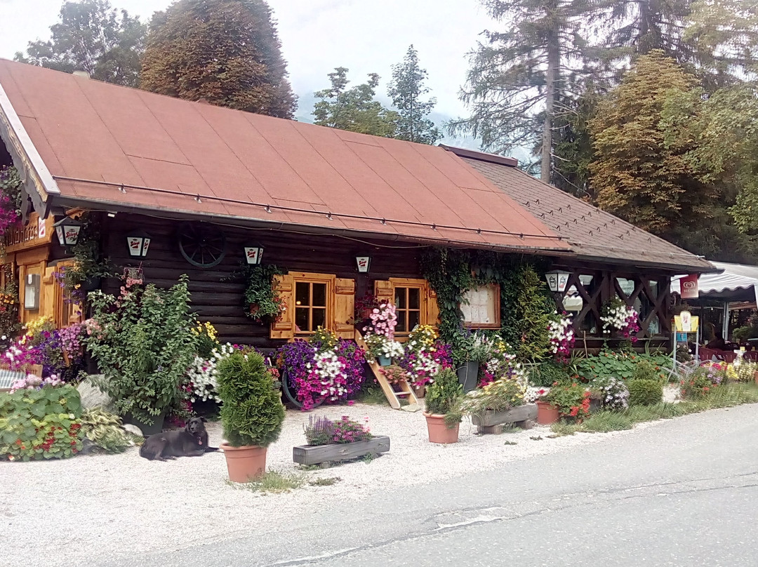 Hotel Der Almhof主图