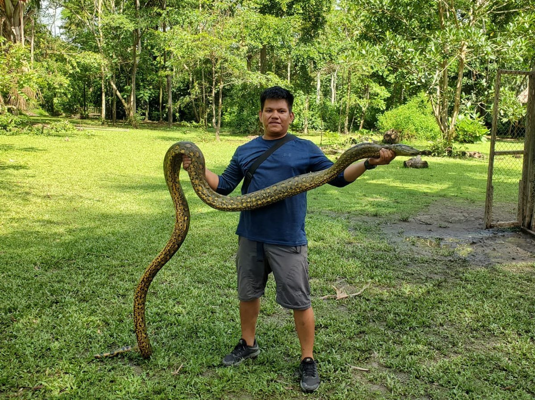 Peru Amazon Wild-伊基托斯必去景点