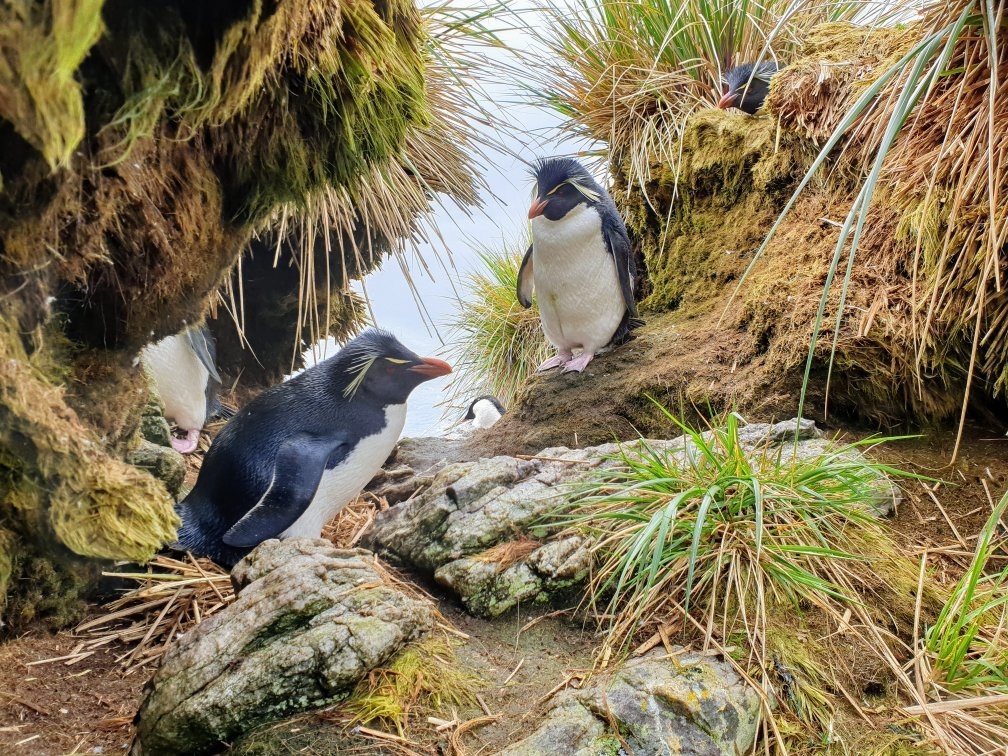 Kidney Island-Stanley必去景点