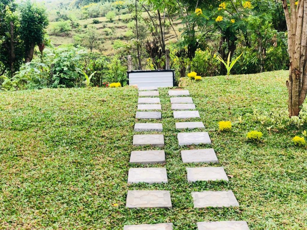 Morning Mist Guesthouse主图