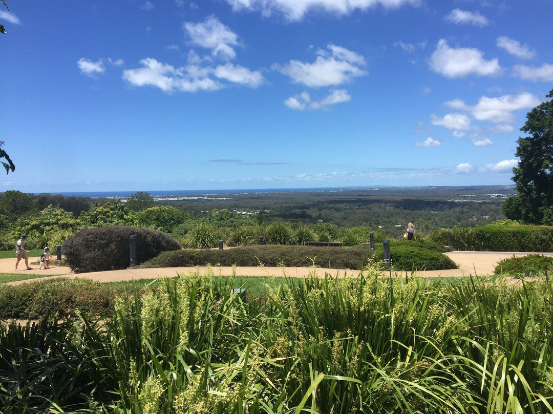 Buderim District Park景点图片