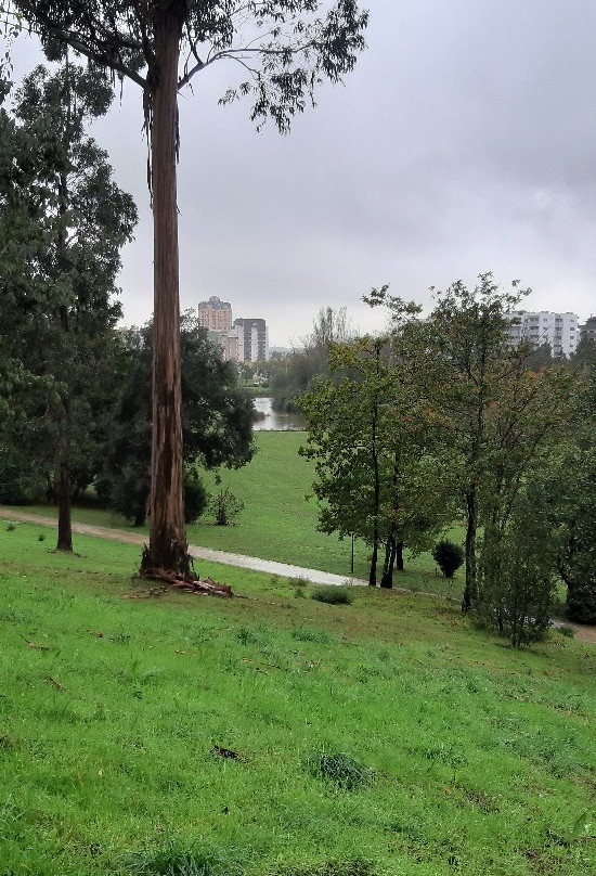 Parque da Devesa景点图片