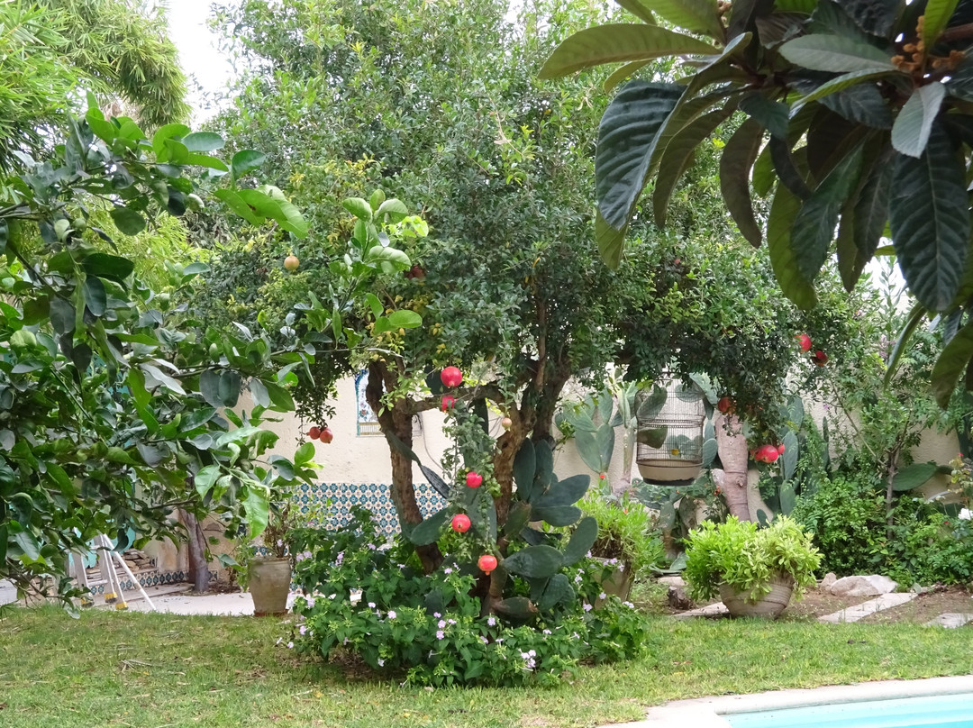 Dar El Yasmine主图