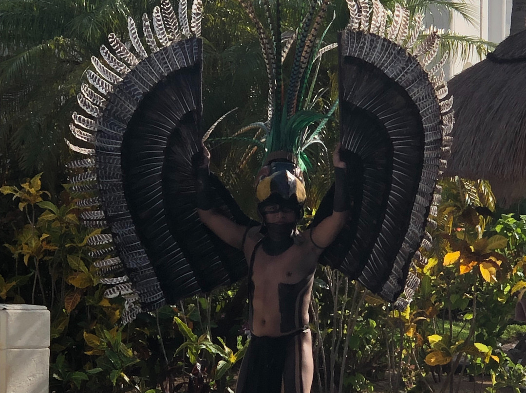 坎昆海滨卓越酒店-全包-仅限成人主图