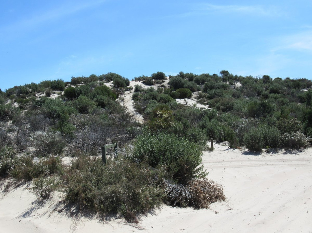 Little Desert National Park景点图片