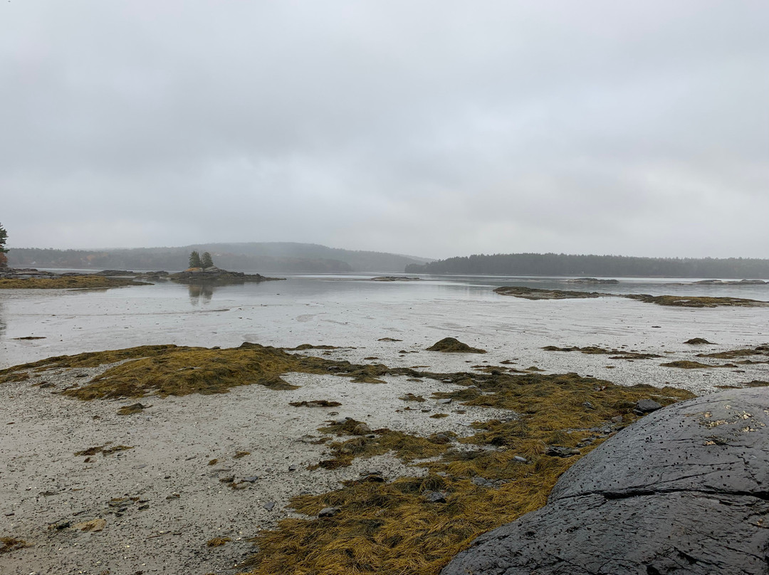 Three Pines Bed & Breakfast and Farm主图