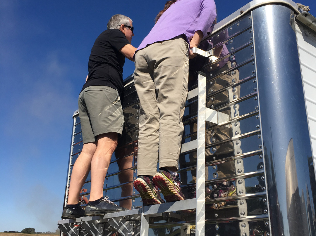 Rabbit Circle-纳什维尔必去景点