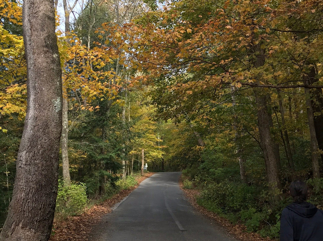 Beaver Creek State Park-East Liverpool必去景点