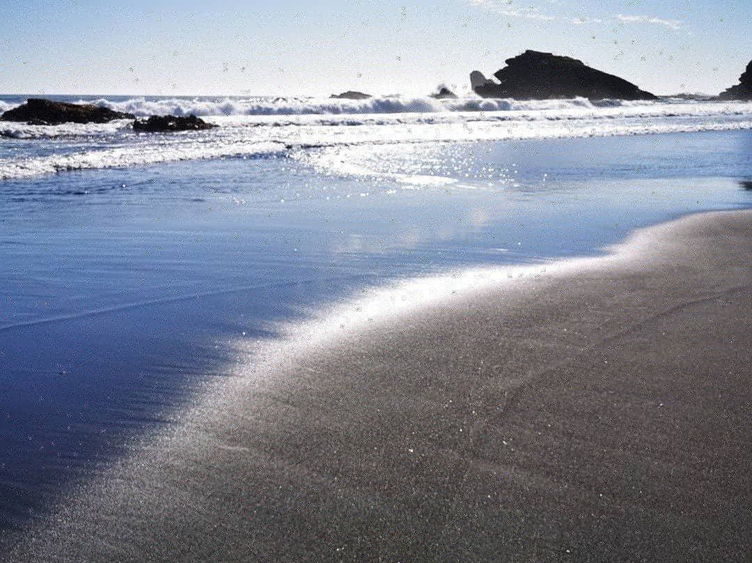 Parque Pedro del Rio Zanartu-康塞普西翁必去景点