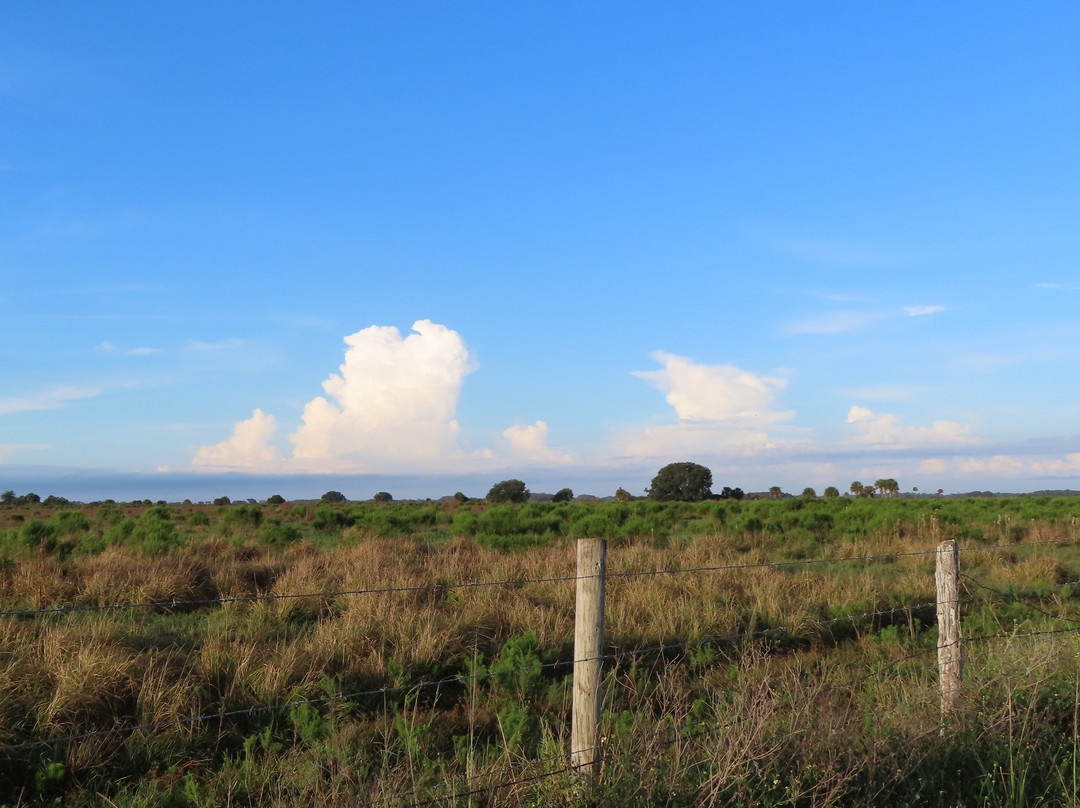 Dinner Island Ranch-克莱维斯顿必去景点