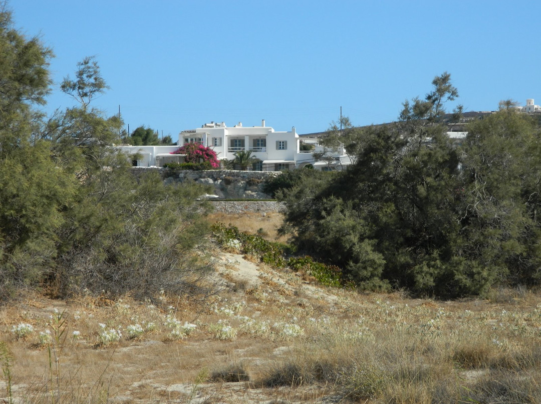 帕罗阿格南提酒店主图