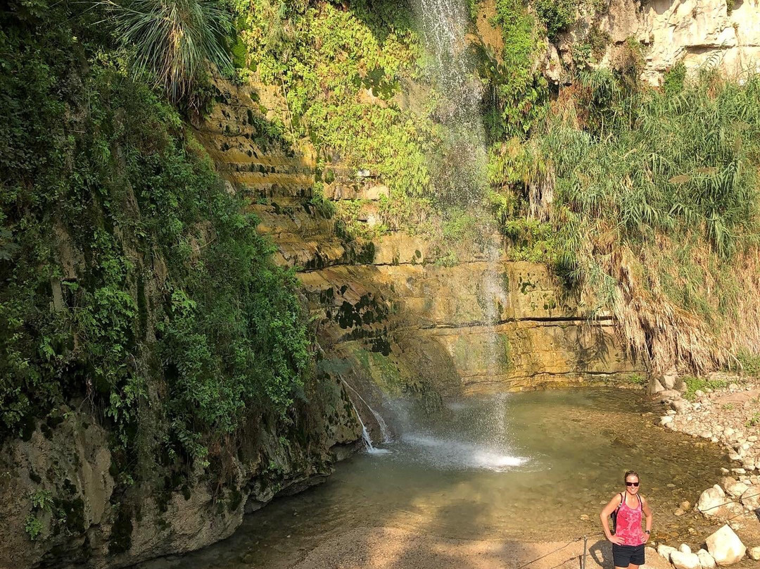 Ein Gedi Eco Park-恩戈地必去景点