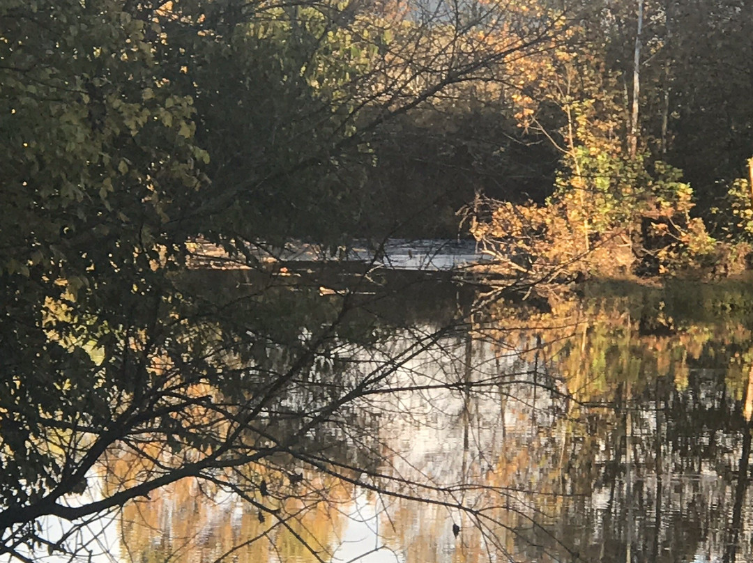 River Bluff Farm Bed & Breakfast主图