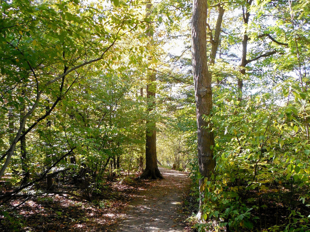 Dufferin Islands Park-尼亚加拉大瀑布必去景点