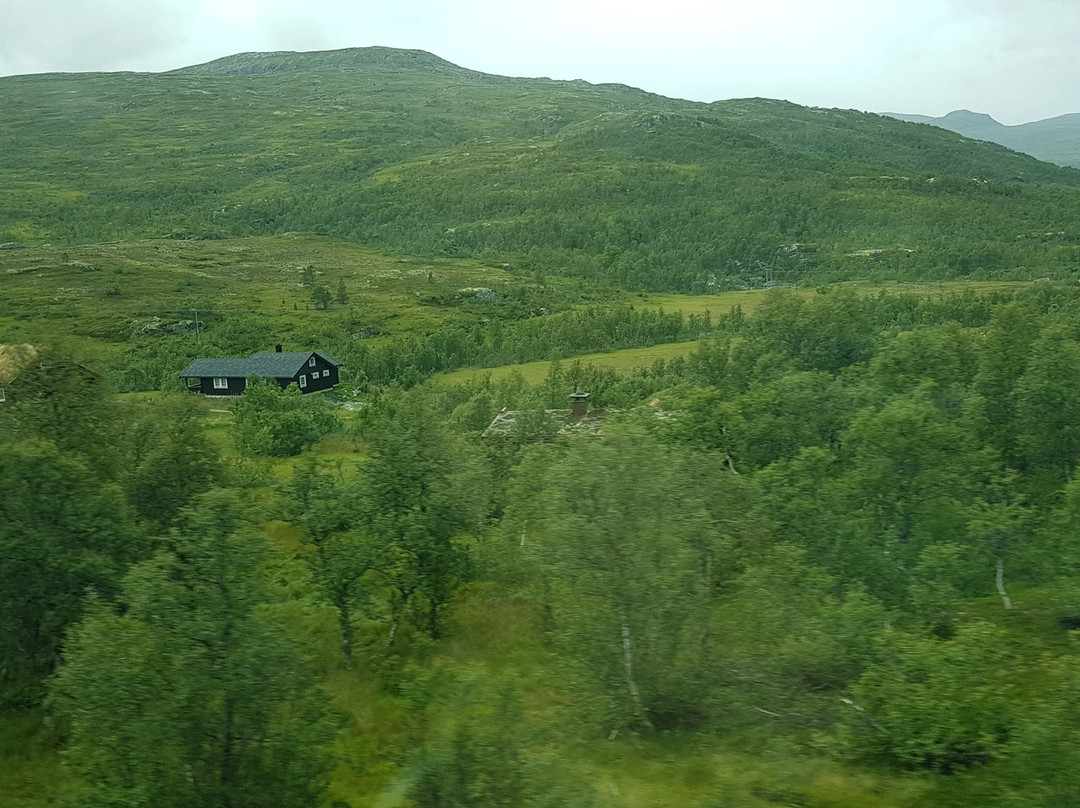 Hardangervidda Nasjonalpar景点图片