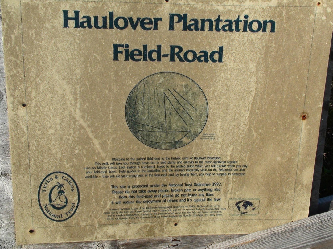 Haulover Plantation景点图片