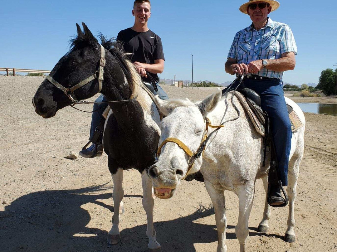 Desert Horse Adventures-尤马必去景点