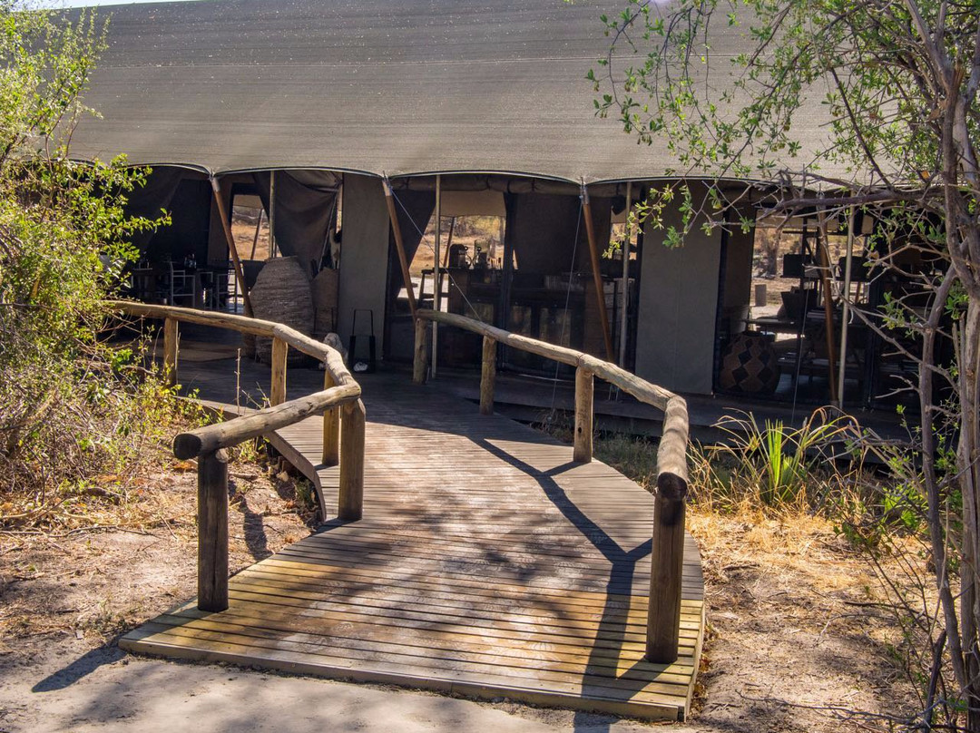 Gomoti Plains Camp - Machaba Safaris主图